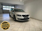 Bild Skoda Octavia Combi 2.0 TDI AHK Sitzheizung