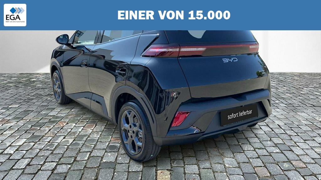 BYD DOLPHIN Surf Boost Alarm Alu DAB Keyless Klima Nav Kamera