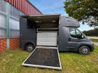 Bild Peugeot Boxer BA Tier-/Pferdetransport AHK