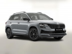 Bild Skoda Karoq DSG Sportl Matrix Nav 360 Canton ACC Kessy