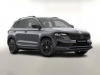 Bild Skoda Karoq DSG Sportl Matrix Nav 360 Canton ACC Kessy
