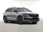 Bild Skoda Karoq DSG Sportl Matrix Nav 360 Canton ACC Kessy
