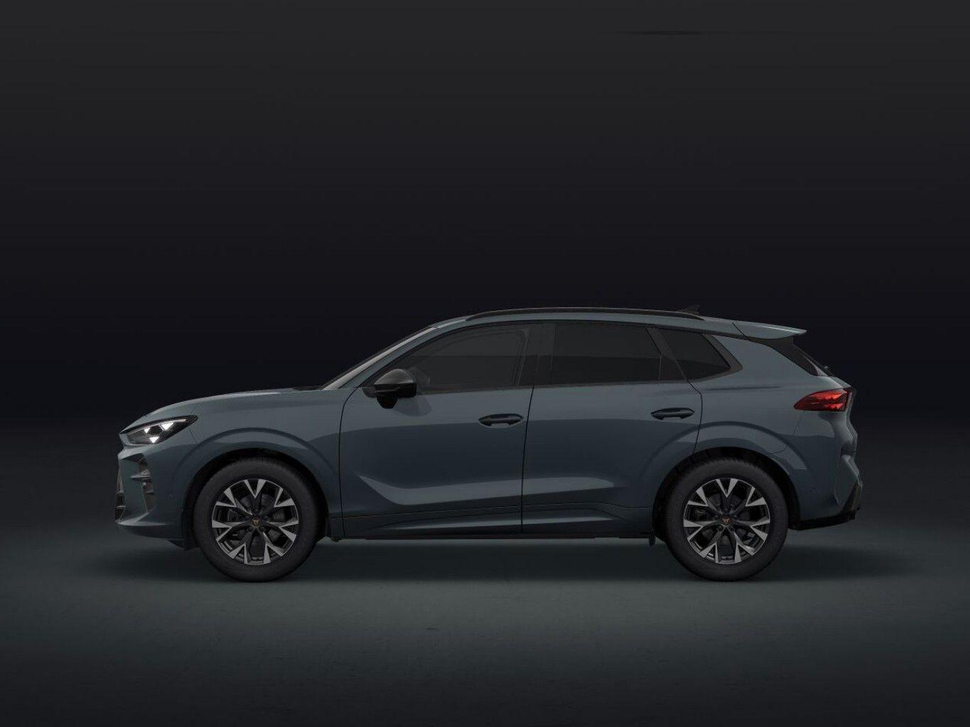 Cupra Terramar 1.5 eTSI MHEV 110kW DSG