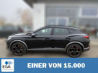 Bild Cupra Formentor VZ 2.0 TSI DSG 4-DRIVE 19