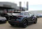 Bild Mazda CX-30 SKY-G SOMO HOMURA+GJ-RÄDER !!