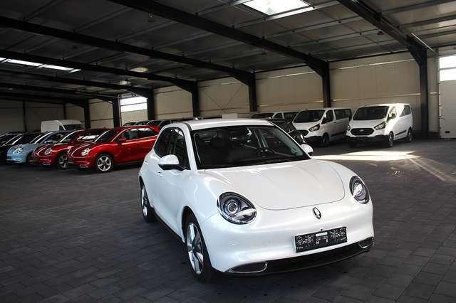 Ora Funky Cat ORA 03  300