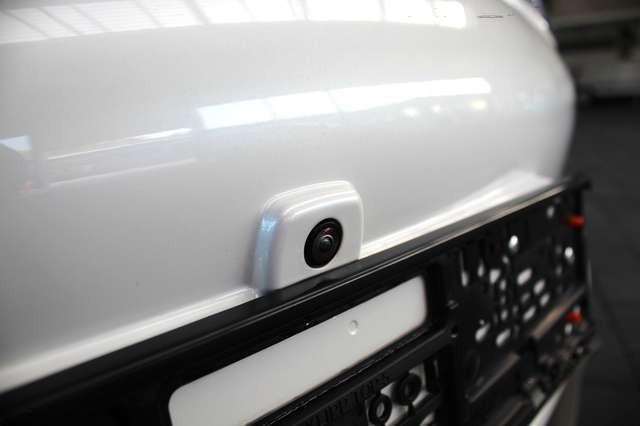 Ora Funky Cat ORA 03  300