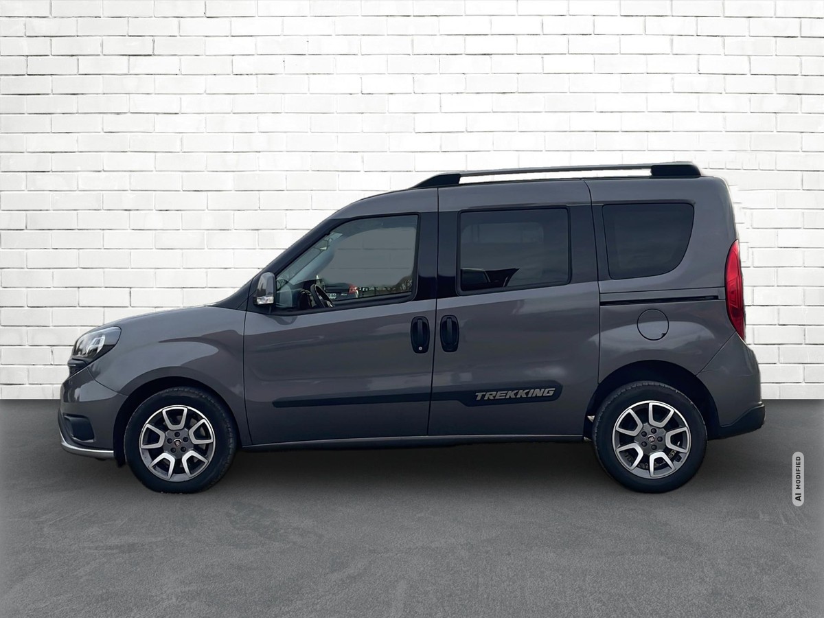 Fiat Doblo Cargo 1.6 Multijet Trekking Navi* AHZV* SHZ*