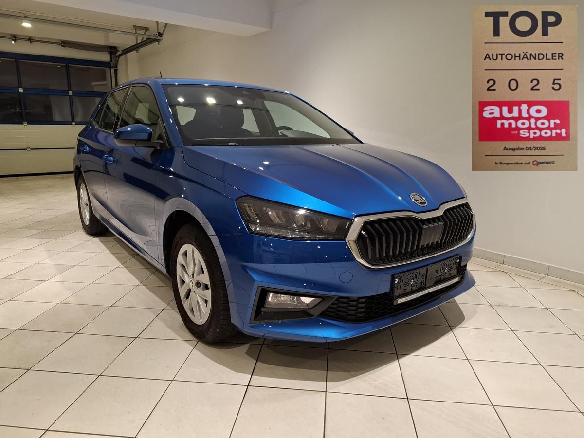 Skoda Fabia 1.0 TSI DSG SHZ Kamera Garantie