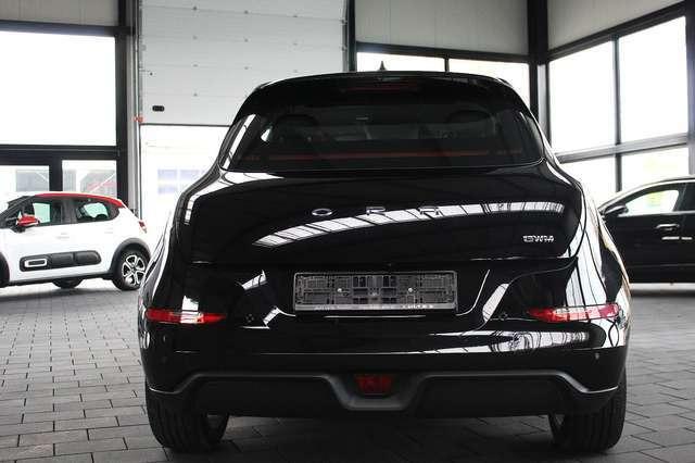 Ora Funky Cat ORA 03  300