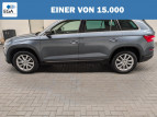 Bild Skoda Kodiaq 7-Sitze/LED/Navi/SHZ/Kam/el.Heck/AHK/18LM