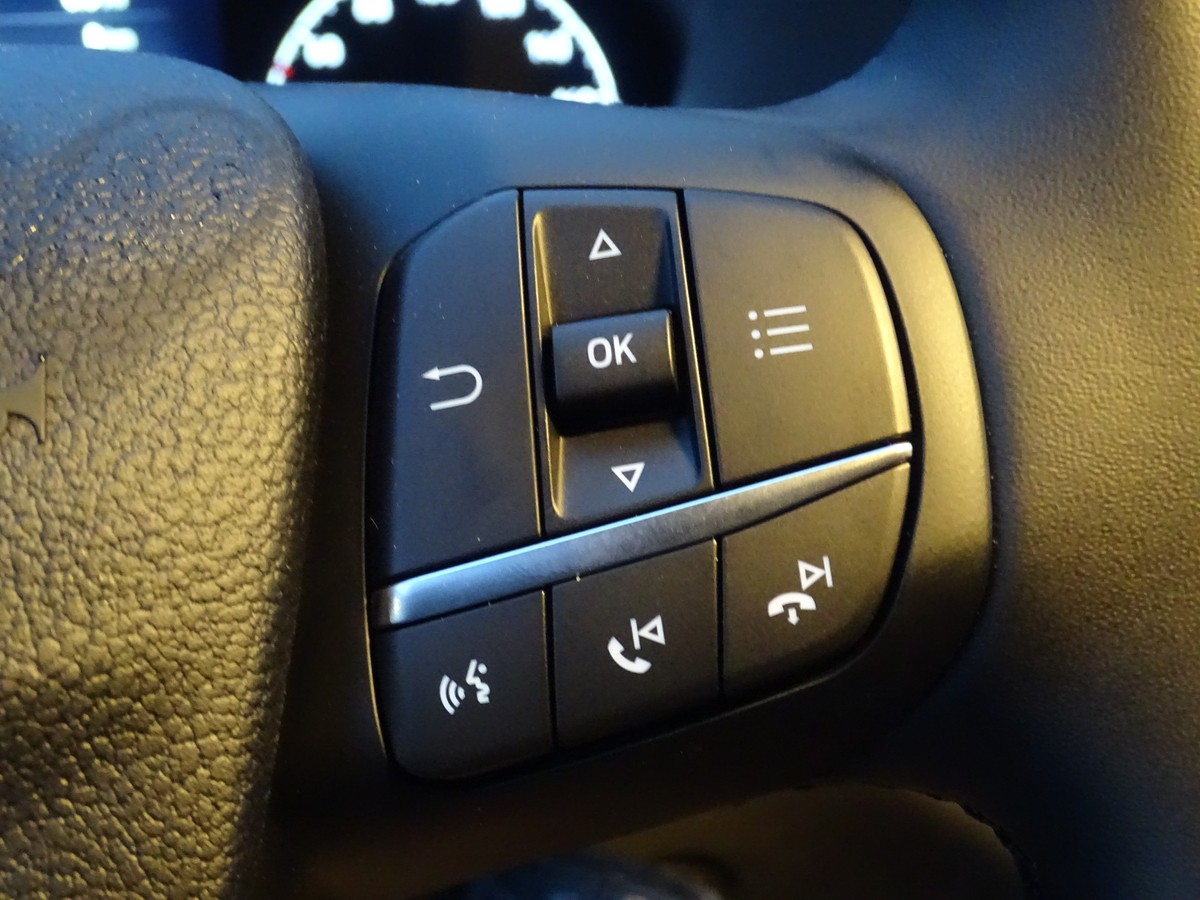 Ford Transit 310 Trend 130L2H2 Automatik PDC Bluetooth