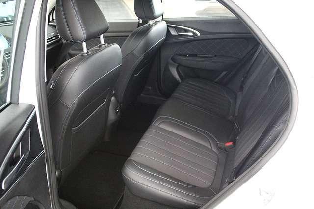 Ora Funky Cat Ora 03 300