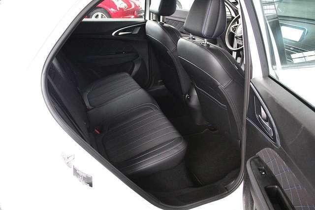 Ora Funky Cat Ora 03 300