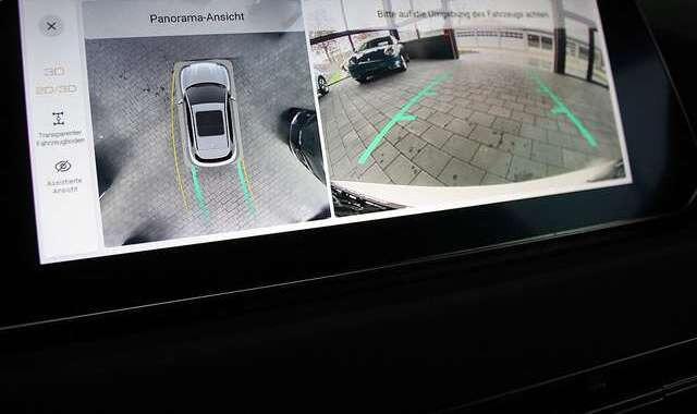 Ora Funky Cat Ora 03 300