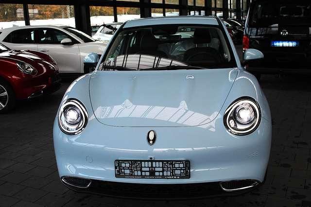 Ora Funky Cat ORA 03  300