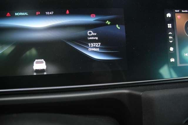 Ora Funky Cat ORA 03  300