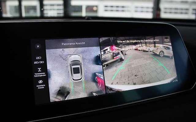 Ora Funky Cat ORA 03  300