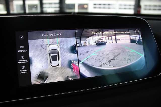 Ora Funky Cat ORA 03  300