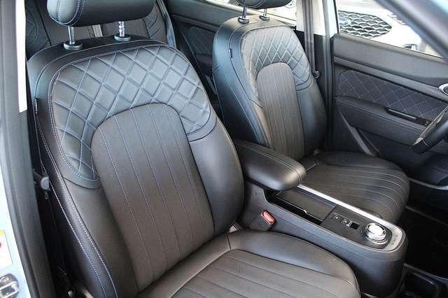 Ora Funky Cat ORA 03  300