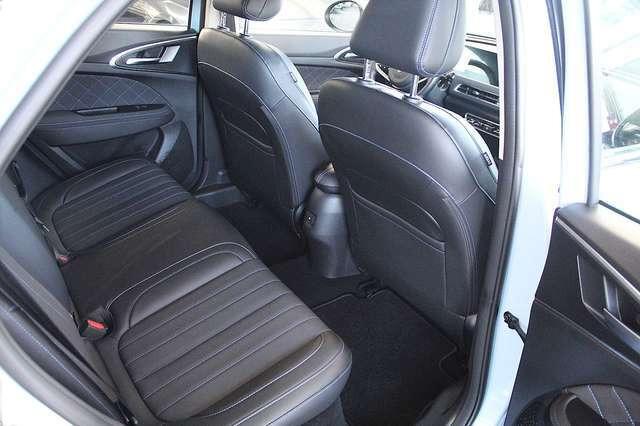 Ora Funky Cat ORA 03  300