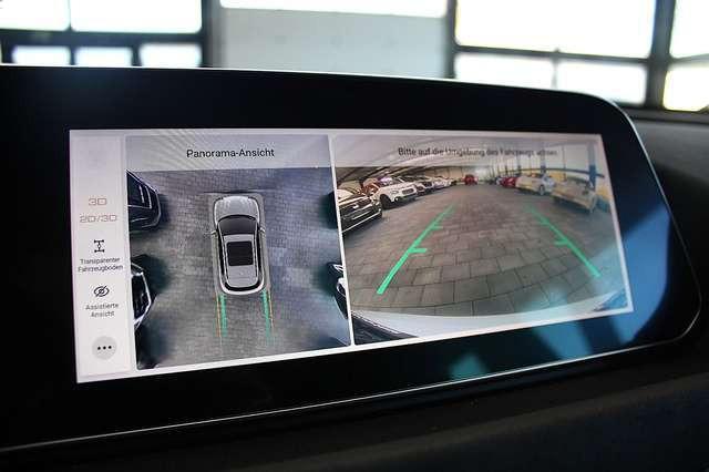 Ora Funky Cat ORA 03  300