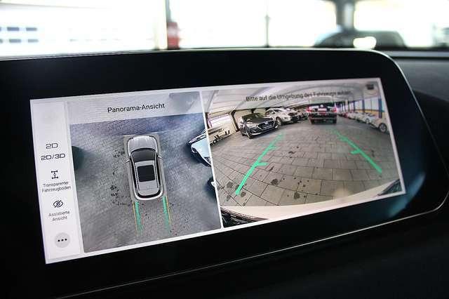 Ora Funky Cat ORA 03  300