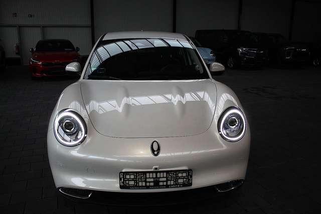 Ora Funky Cat ORA 03  300