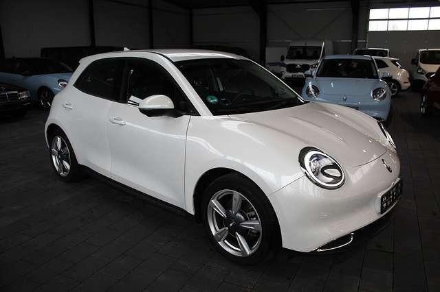 Ora Funky Cat ORA 03  300