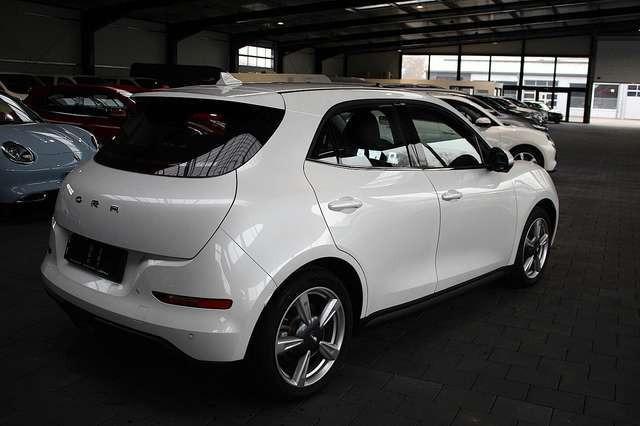 Ora Funky Cat ORA 03  300