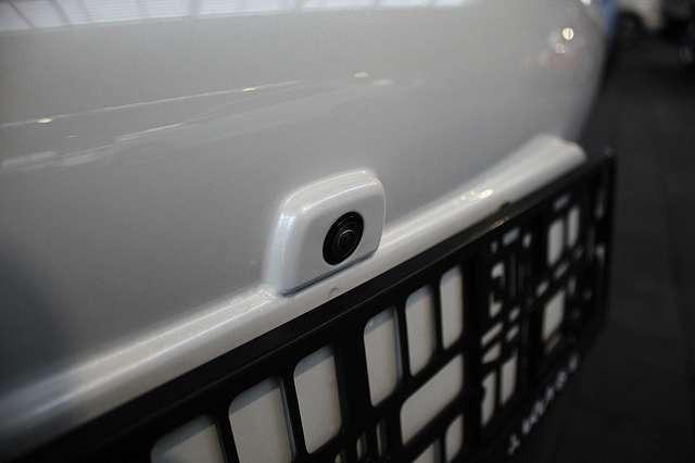 Ora Funky Cat ORA 03  300