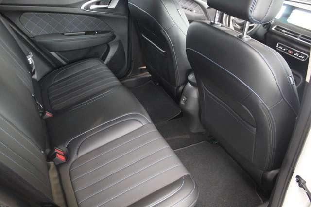 Ora Funky Cat ORA 03  300