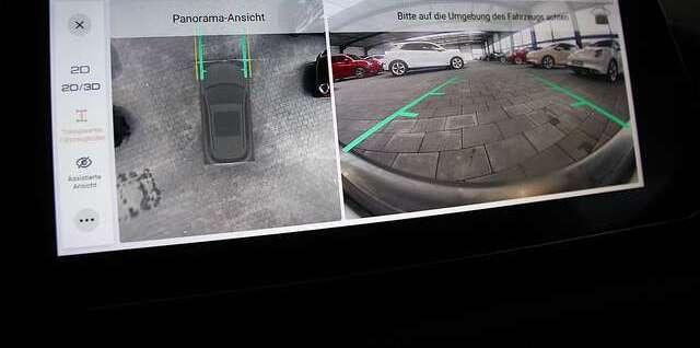 Ora Funky Cat ORA 03  300