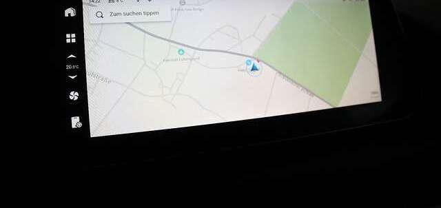 Ora Funky Cat ORA 03  300