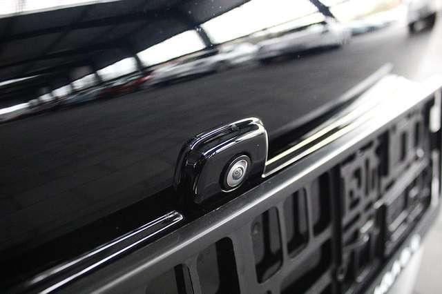 Ora Funky Cat Ora 03 300 (Allwetter)