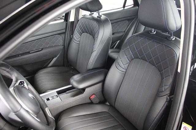 Ora Funky Cat Ora 03 300 (Allwetter)