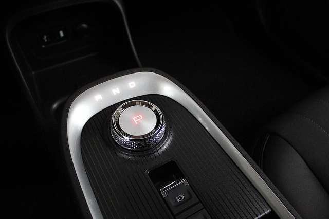 Ora Funky Cat Ora 03 300 (Allwetter)