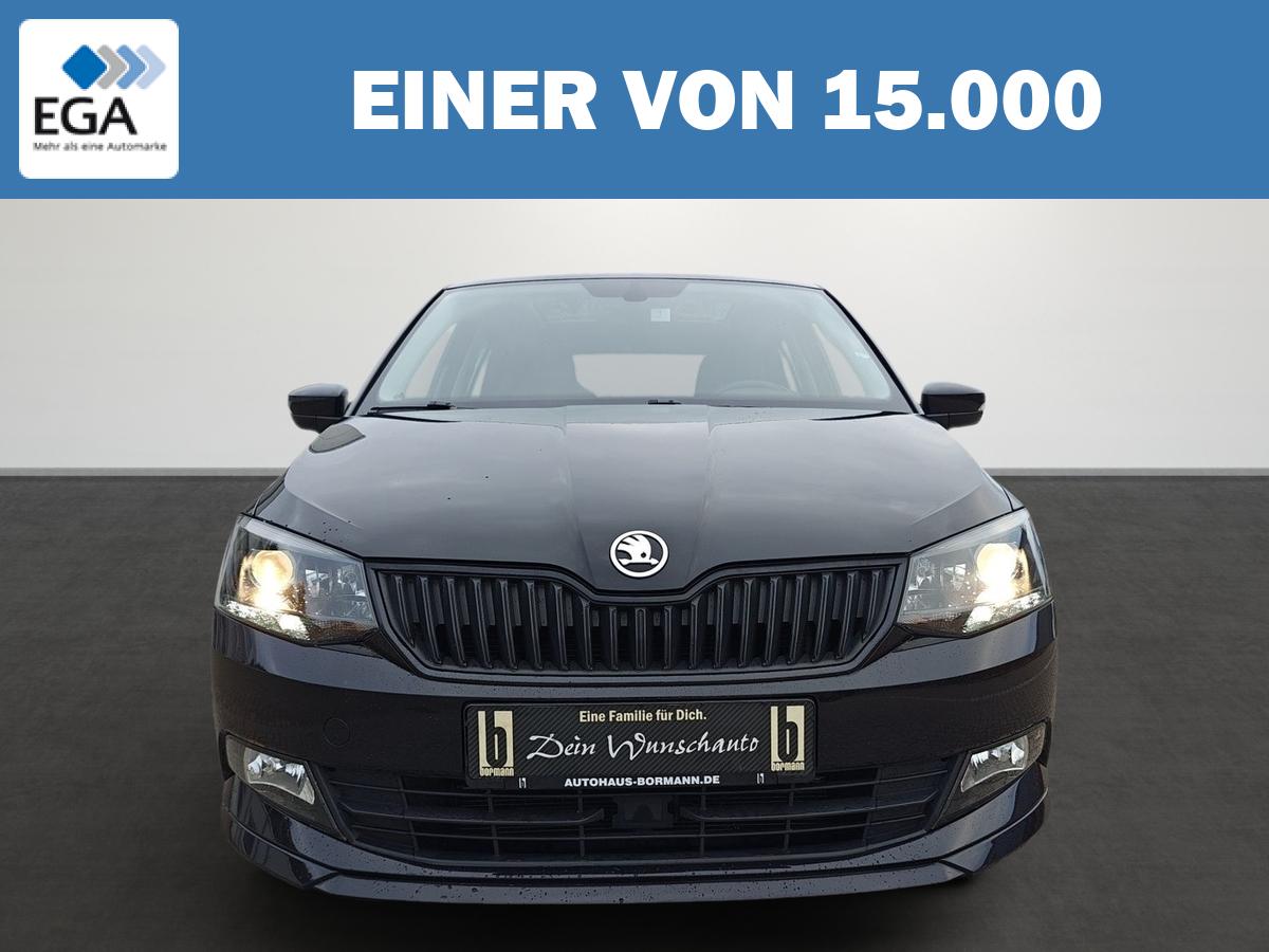 Skoda Fabia 1.0 TSI Monte Carlo Pano App PDC Sitzh. 
