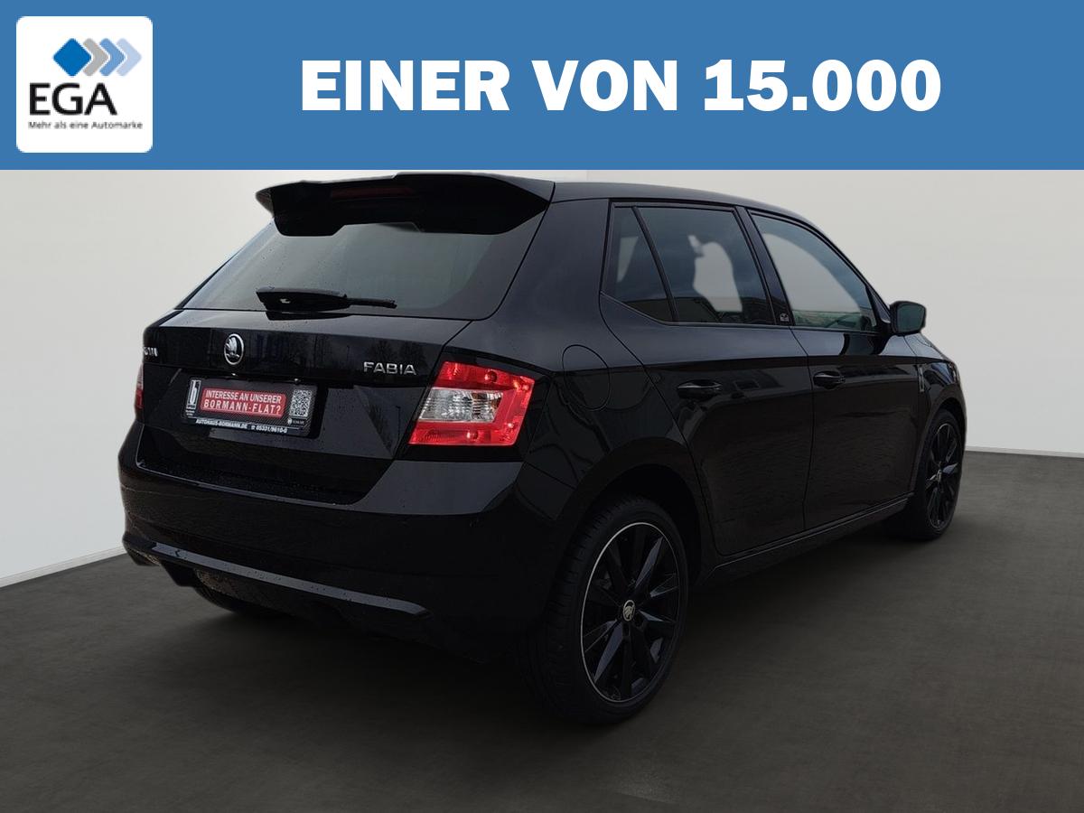 Skoda Fabia 1.0 TSI Monte Carlo Pano App PDC Sitzh. 