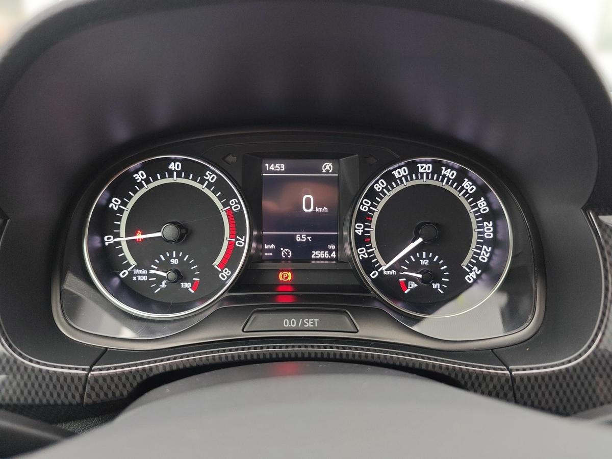 Skoda Fabia 1.0 TSI Monte Carlo Pano App PDC Sitzh. 