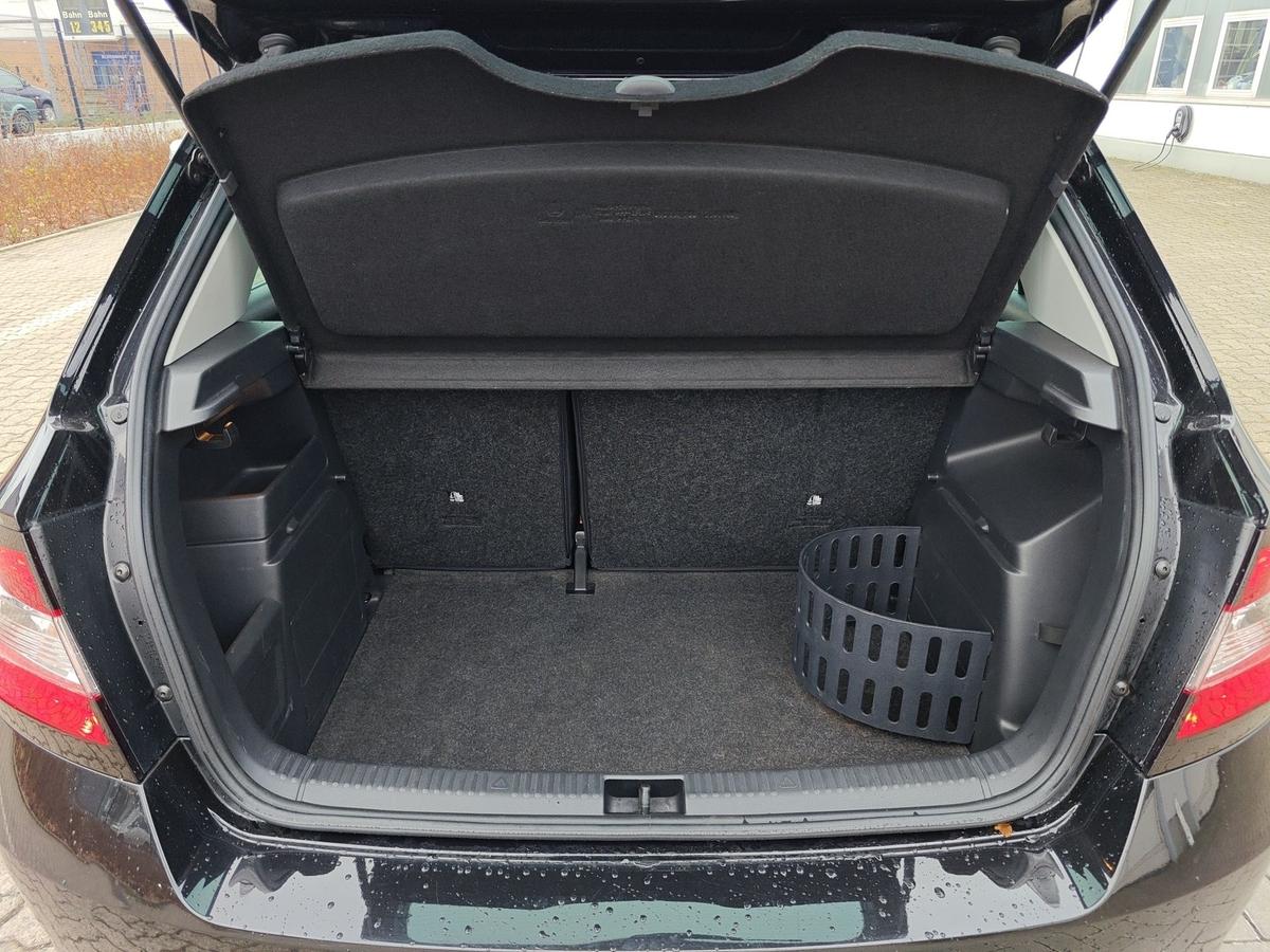 Skoda Fabia 1.0 TSI Monte Carlo Pano App PDC Sitzh. 