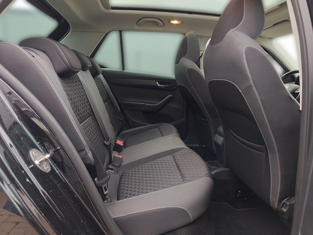 Skoda Fabia 1.0 TSI Monte Carlo Pano App PDC Sitzh. 