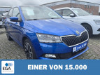 Bild Skoda Fabia 1.0 Drive 125 TSI BMT Navi PANORAMADACH LED DAB