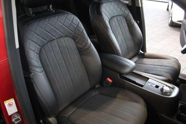 Ora Funky Cat Ora 03 300 PRO