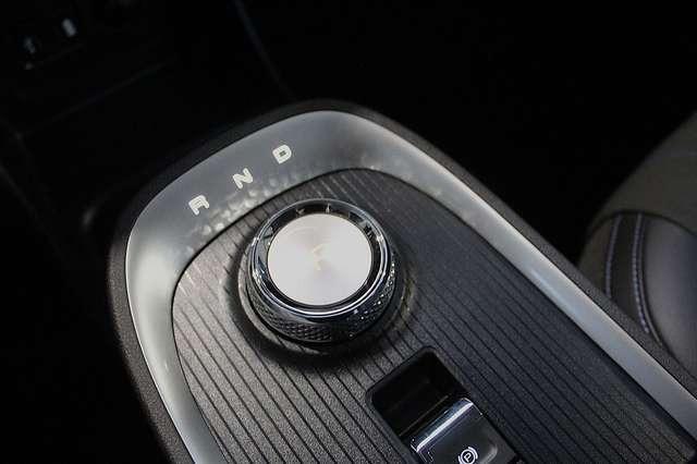 Ora Funky Cat Ora 03 300 PRO