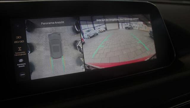 Ora Funky Cat Ora 03 300 PRO