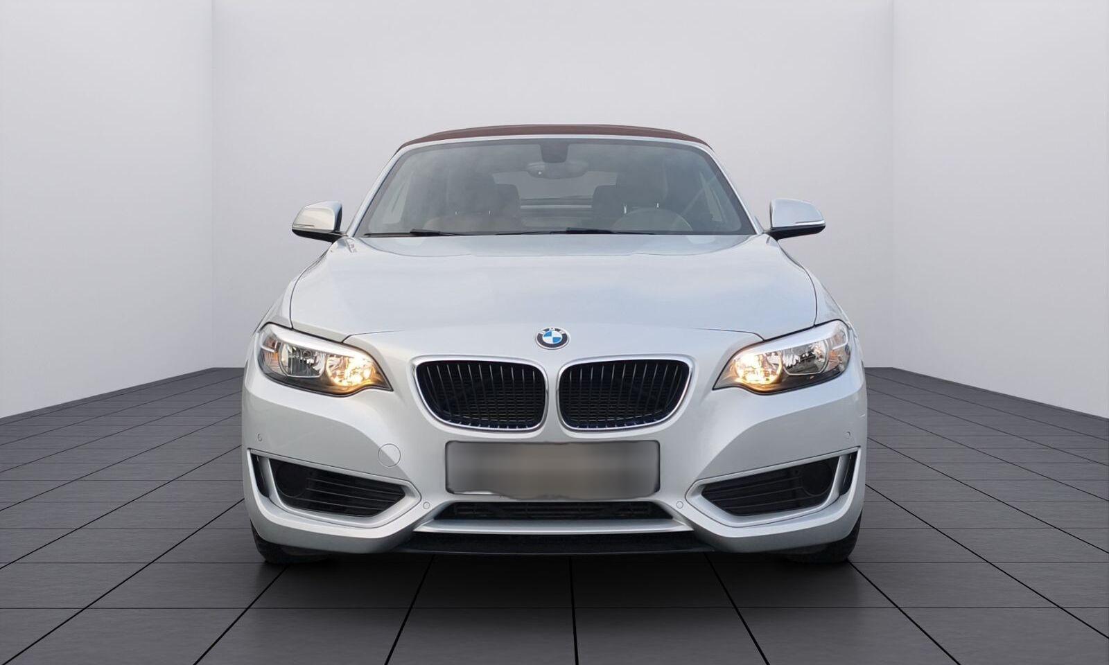 BMW 218 i Cabrio Aut./Leder/SHZ/Navi/PDC v.+h