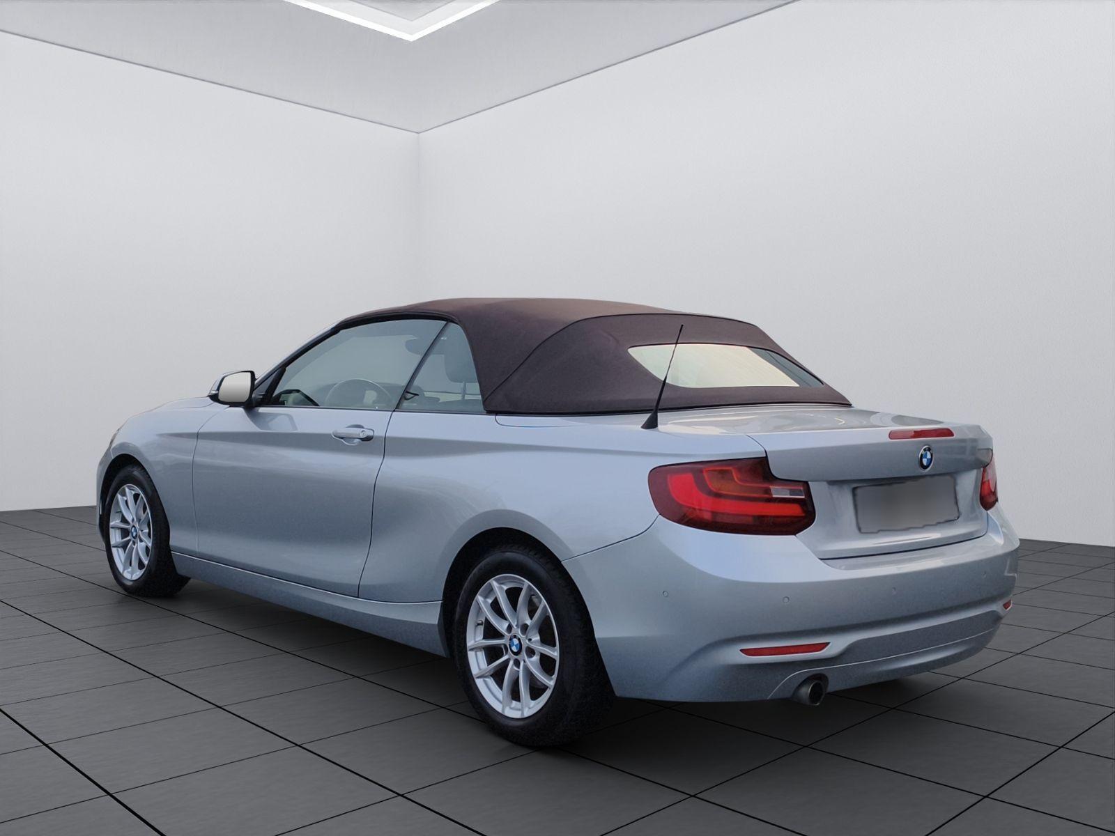 BMW 218 i Cabrio Aut./Leder/SHZ/Navi/PDC v.+h