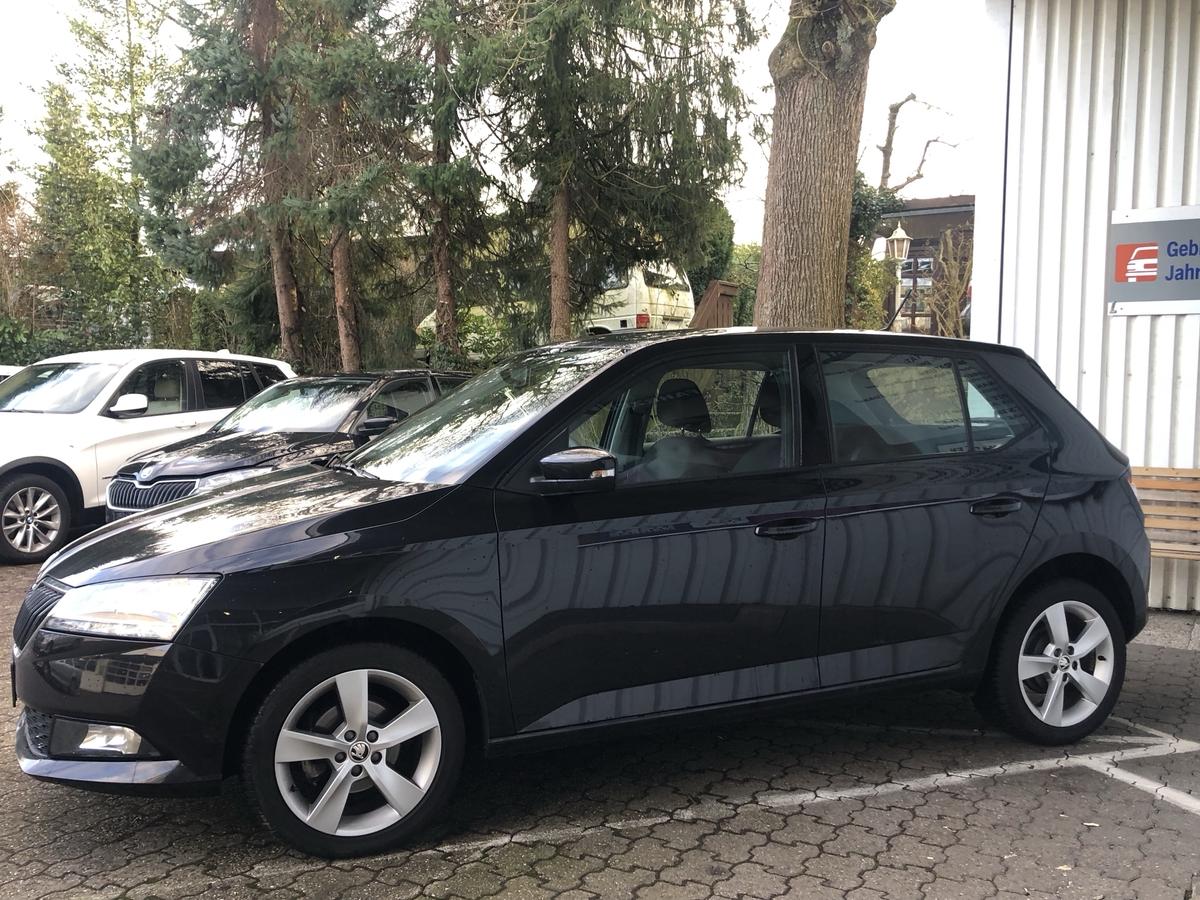Skoda Fabia 1.0 MPI Cool Plus KLIMA*ALU*PDC*SHZG*ALLWETTER