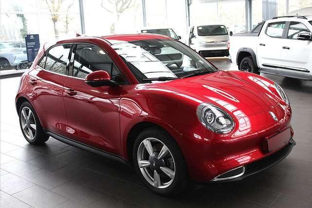 Ora Funky Cat ORA 03  300